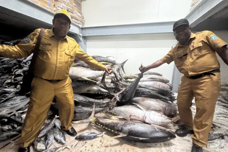 Dinas Perikanan Biak Bersiap Kirim Ikan Segar ke Daerah Pegunungan Papua
