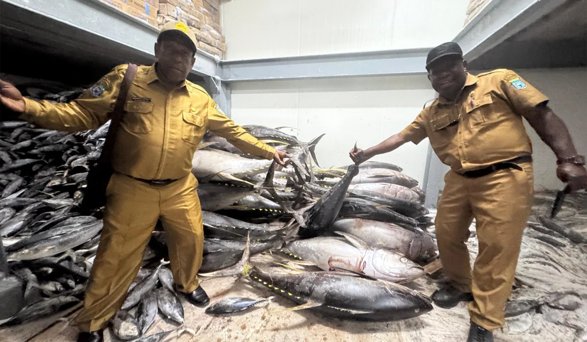 Dinas-Perikanan-Biak-Bersiap-Kirim-Ikan-Segar-ke-Daerah-Pegunungan-Papua