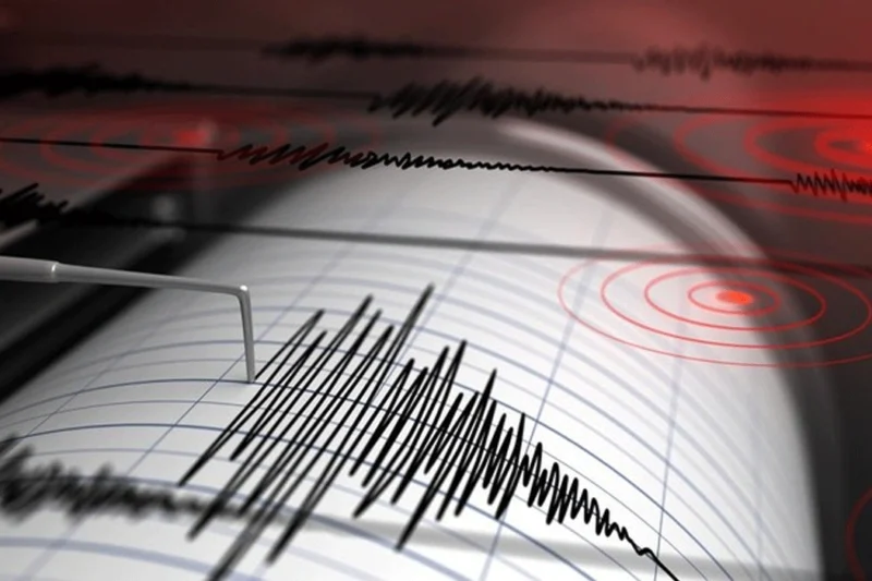 Gempa Bumi Magnitudo 5,4 Guncang Merauke, Papua