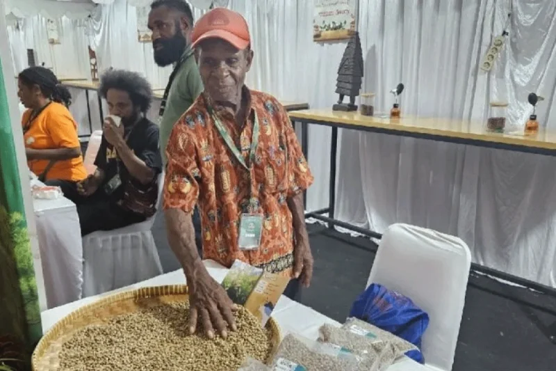 Pemprov Papua Dorong Pelaku Usaha Ekspor Aktif Berkoordinasi