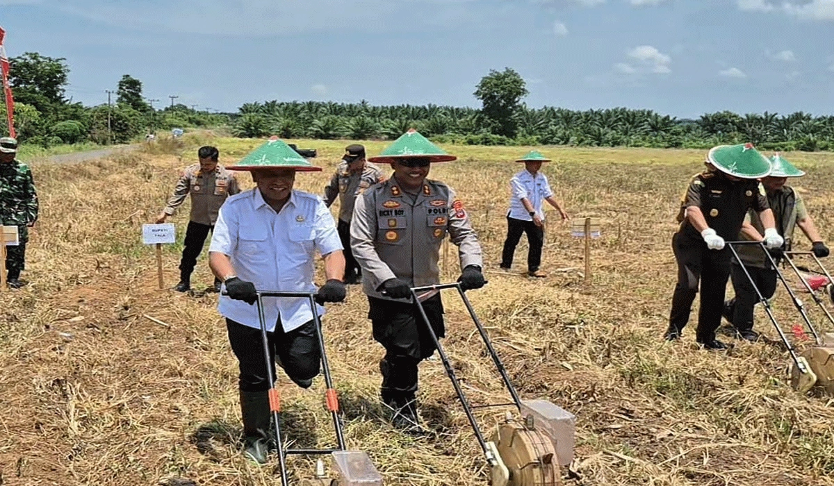 Polres-Jayawijaya-Dorong-Suksesnya-Program-Swasembada-Pangan-Nasional