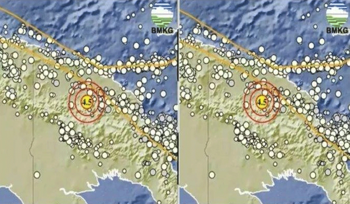 Respons BMKG dan Pemda Gempa di Papua